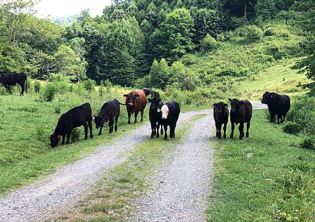 Photo of Others in Creston