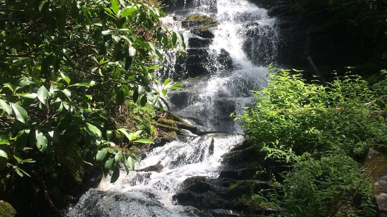 Photo of Others in Bryson City