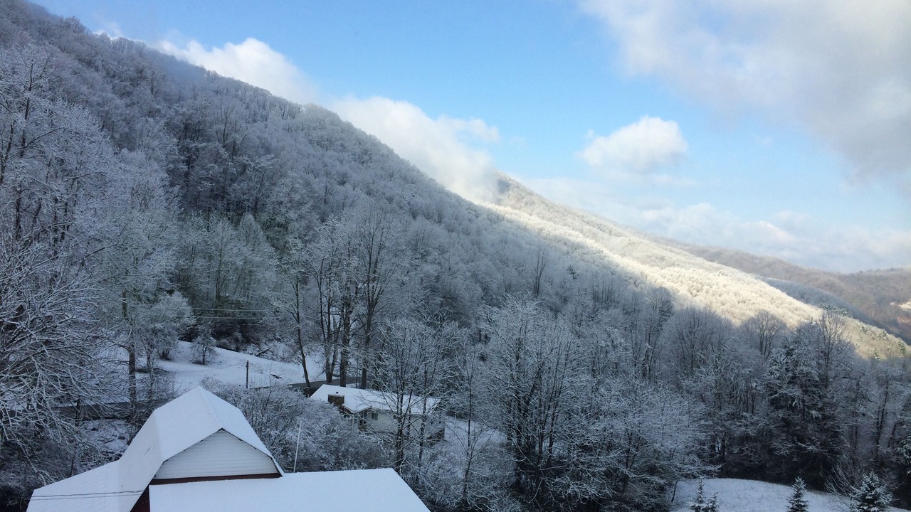 Photo of Others in Bryson City