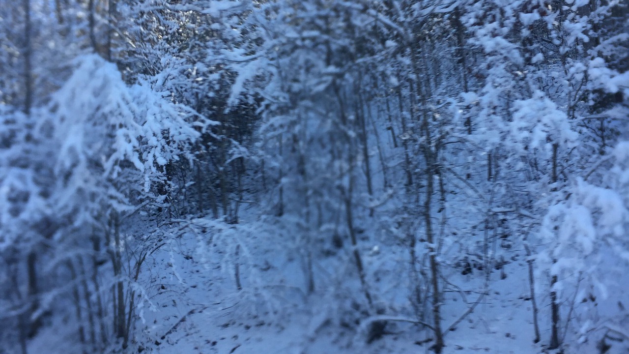 Photo of Outdoor in Highlands
