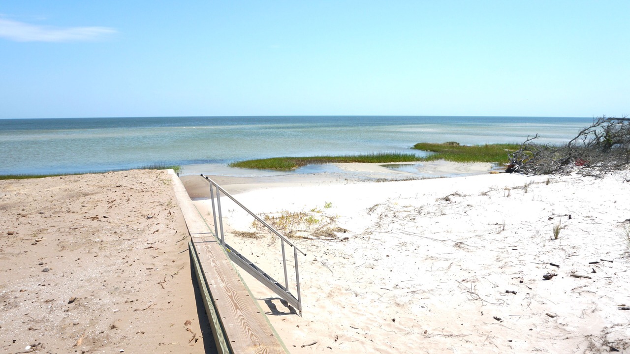 Photo of Others in Cedar Island