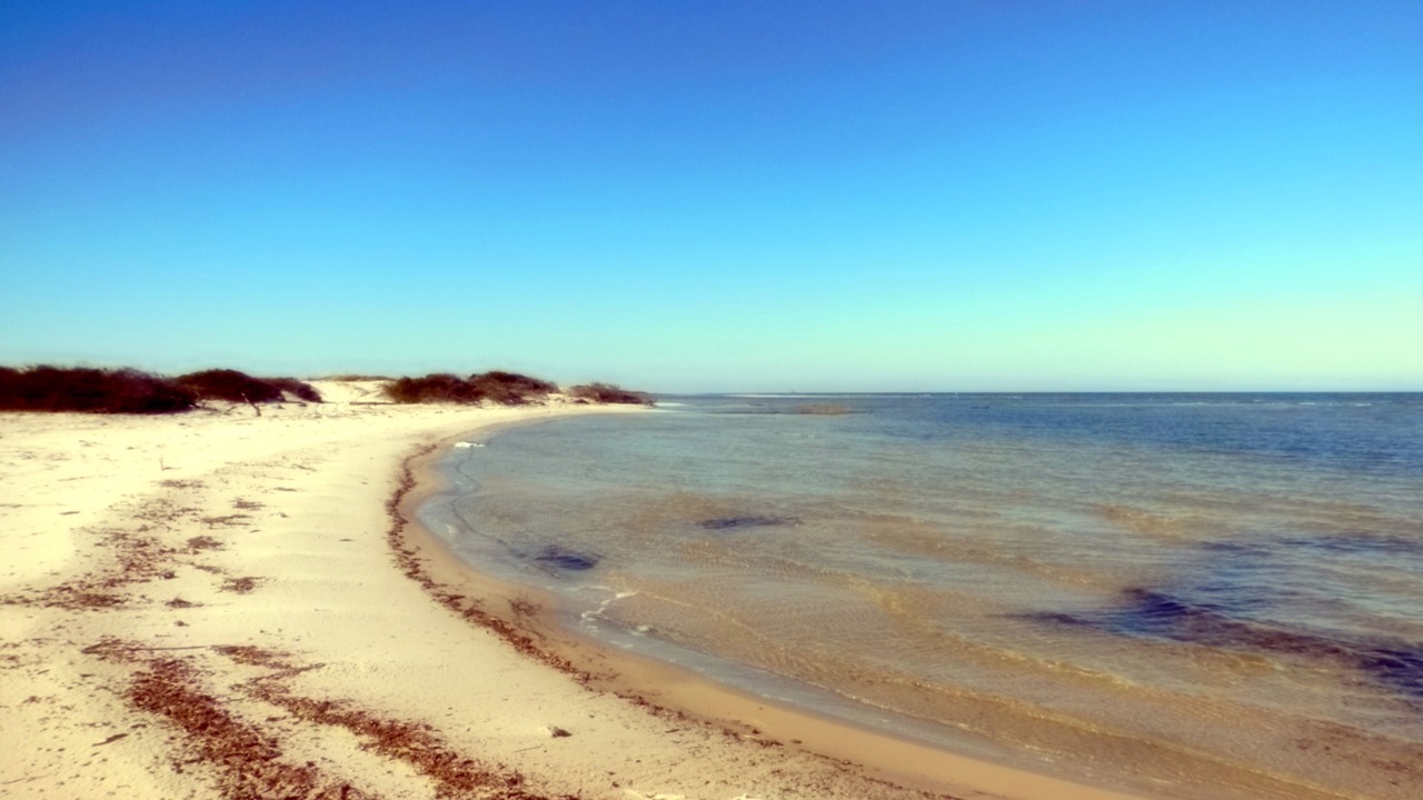 Photo of Others in Cedar Island