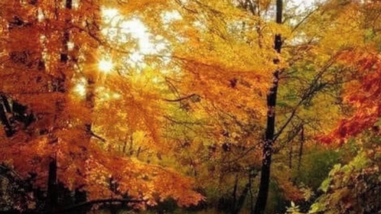 Photo of Others in Lake Lure