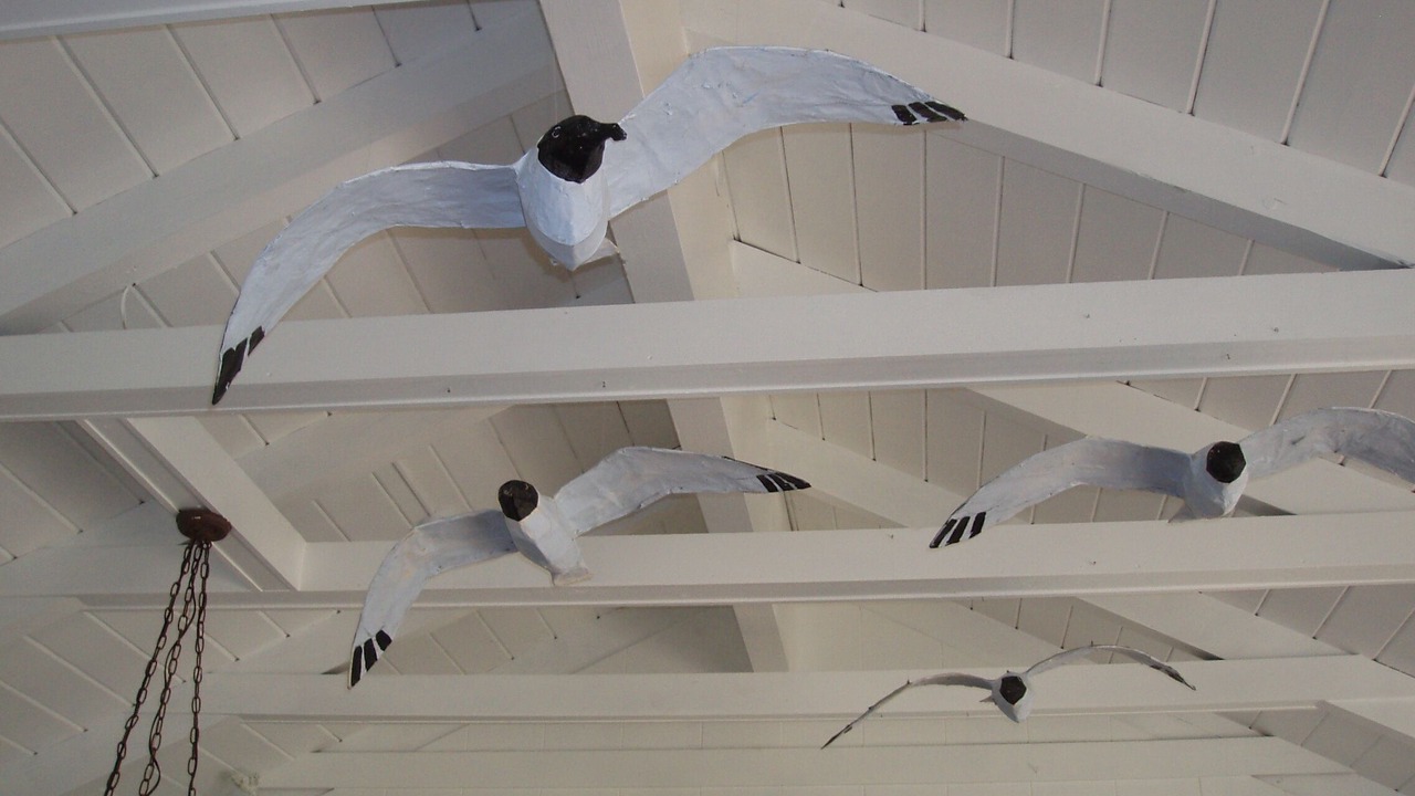 Photo of Others in Bald Head Island