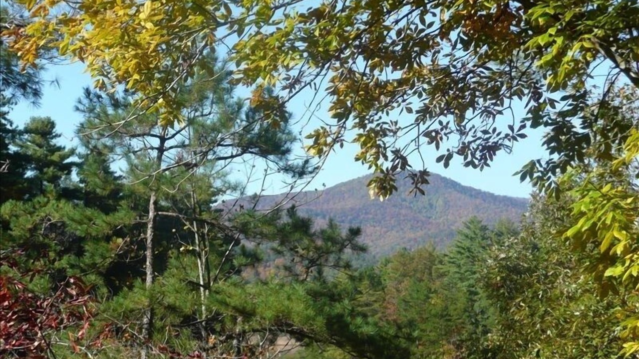 Photo of Outdoor in Unaka