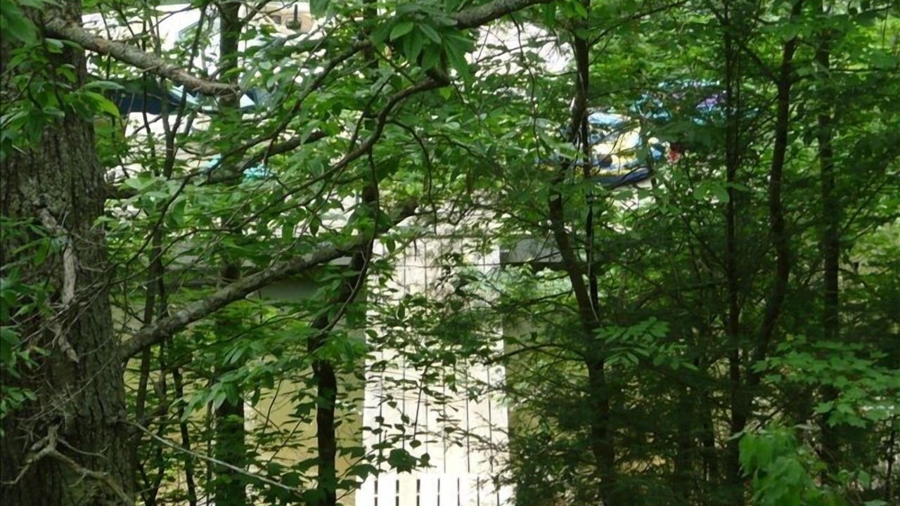 Photo of Outdoor in Unaka