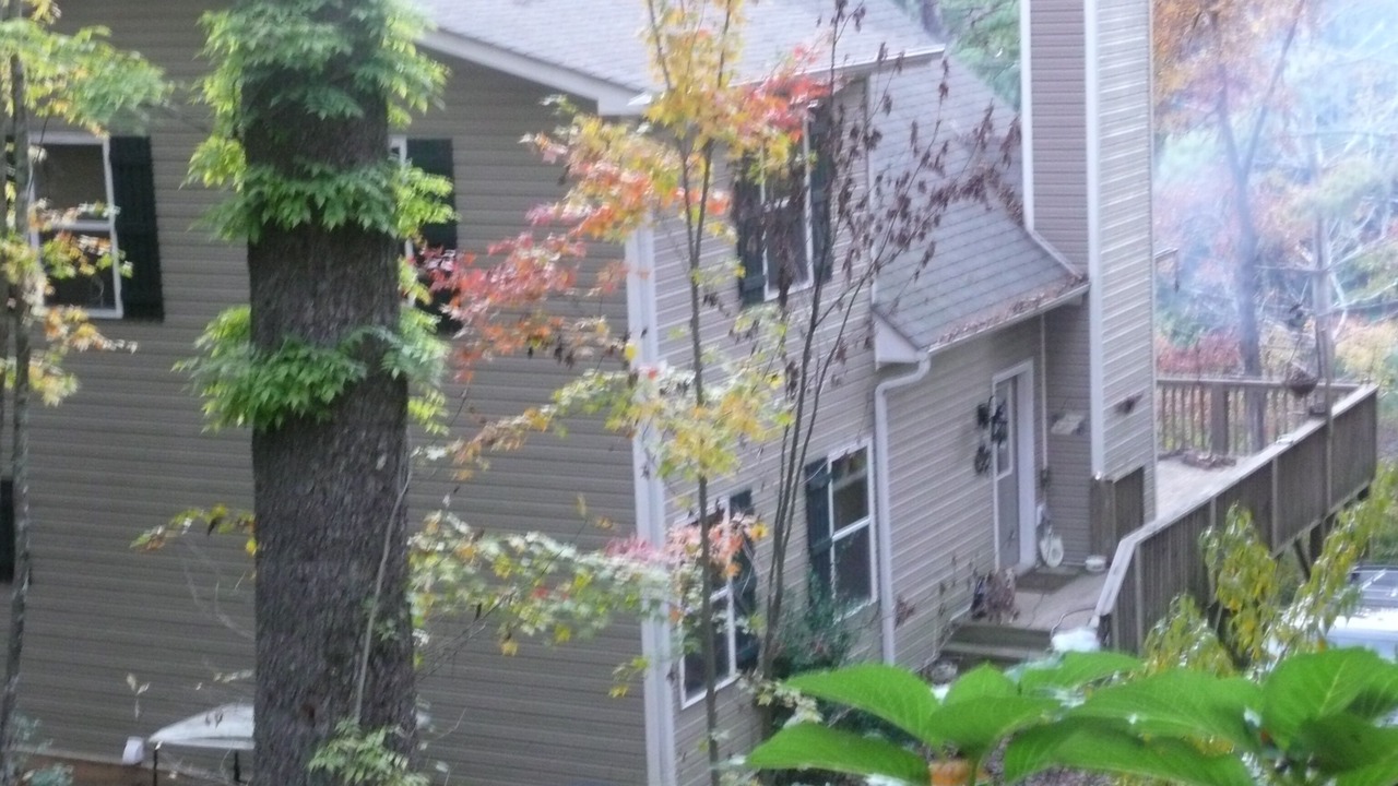 Photo of Outdoor in Unaka