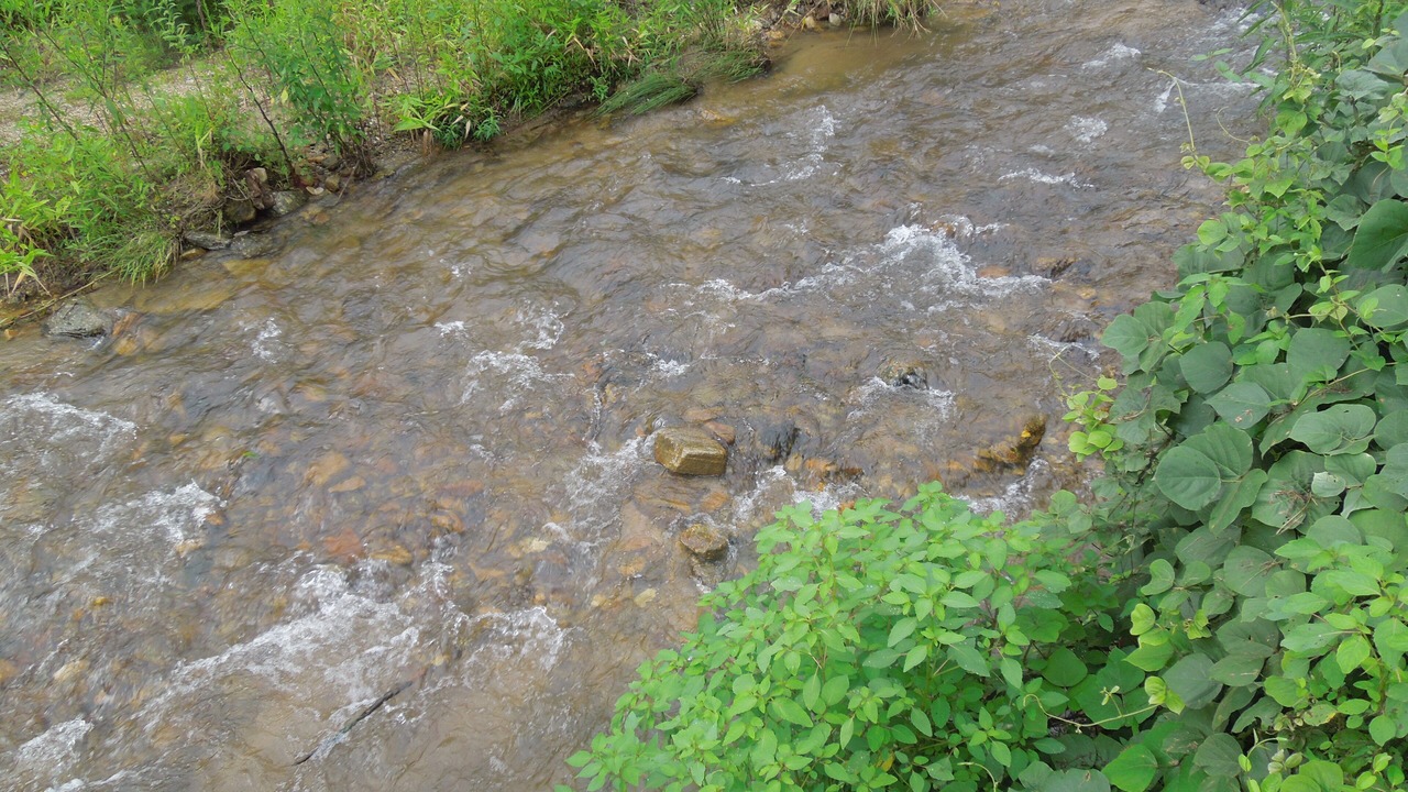 Photo of Others in Rocky Bottom
