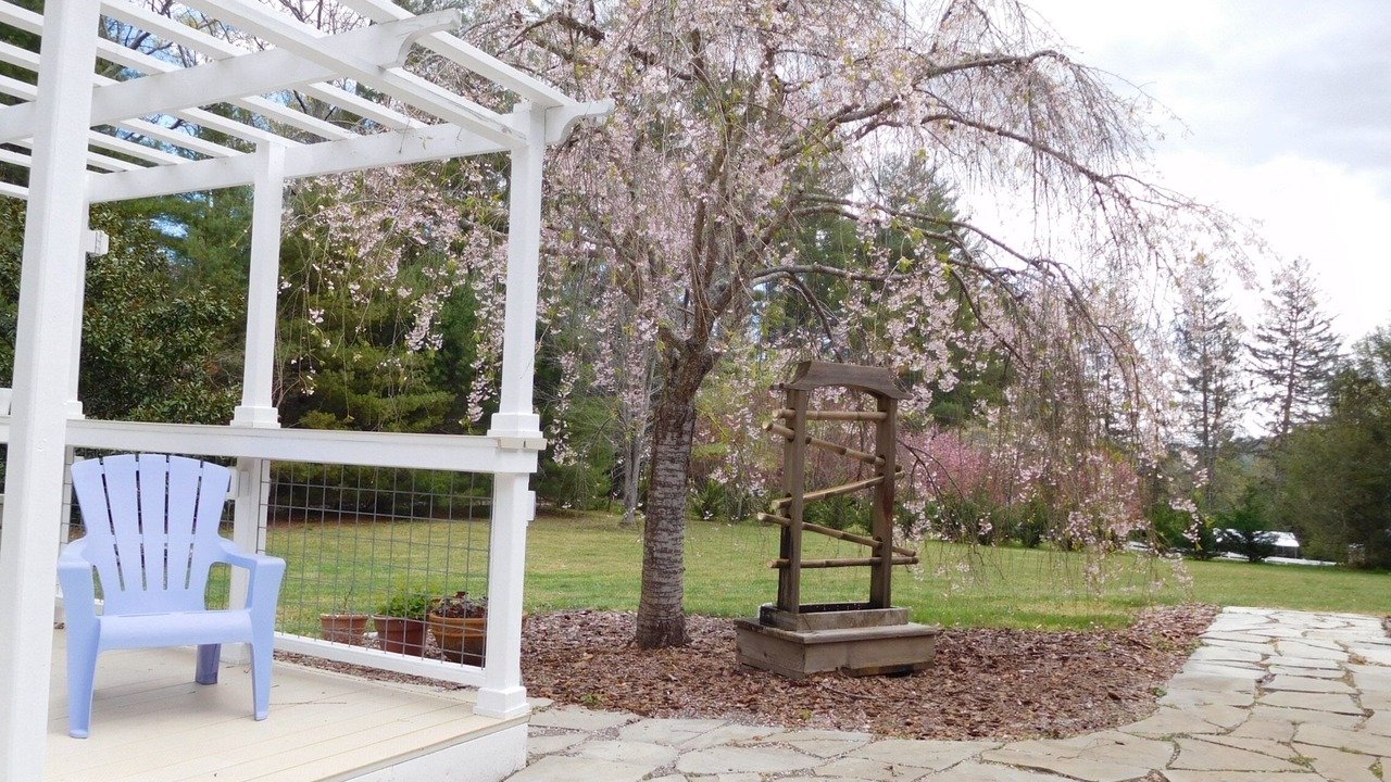 Photo of Outdoor in Hendersonville