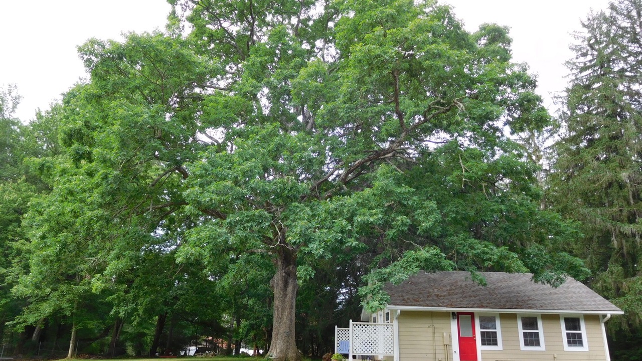 Photo of Outdoor in Hendersonville