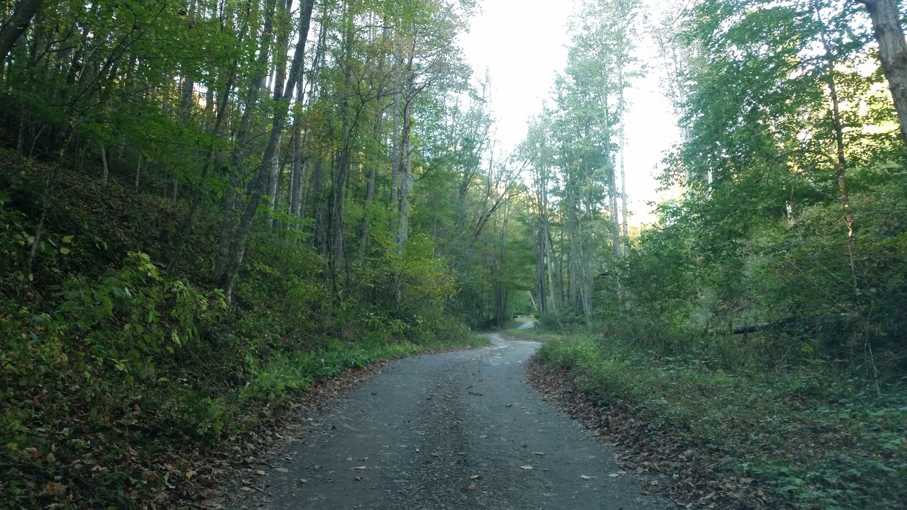 Photo of Others in Mars Hill