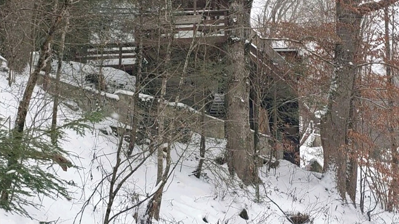 Photo of Others in Cattail Creek
