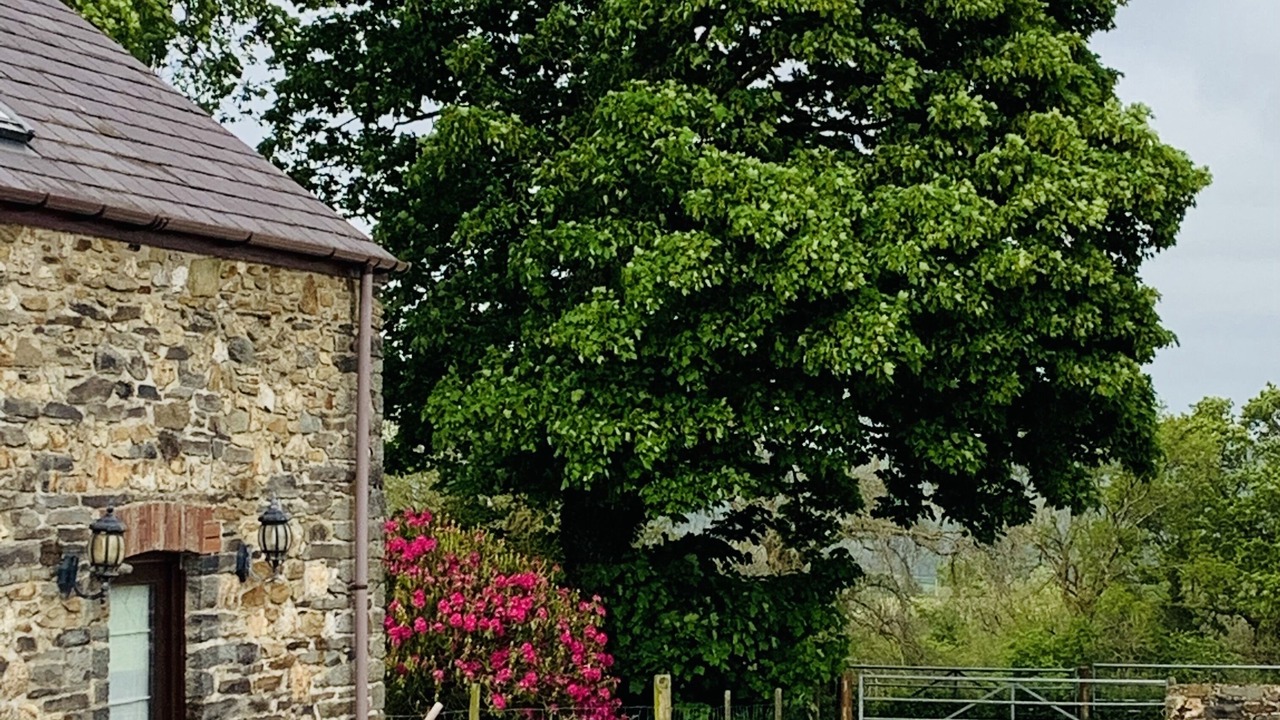 Photo of Outdoor in Whitland