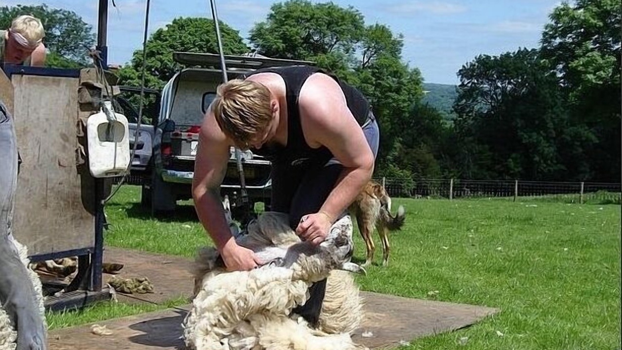 Photo of Others in Whitland