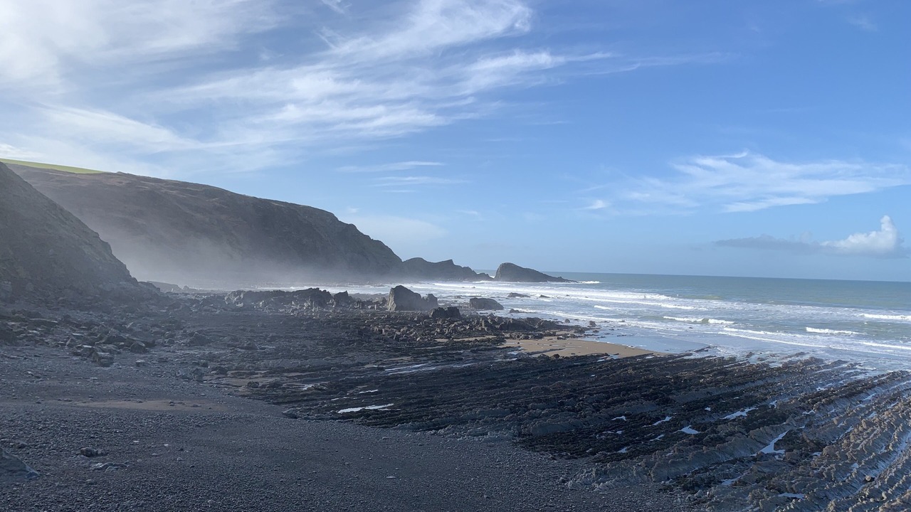 Photo of Others in Bude