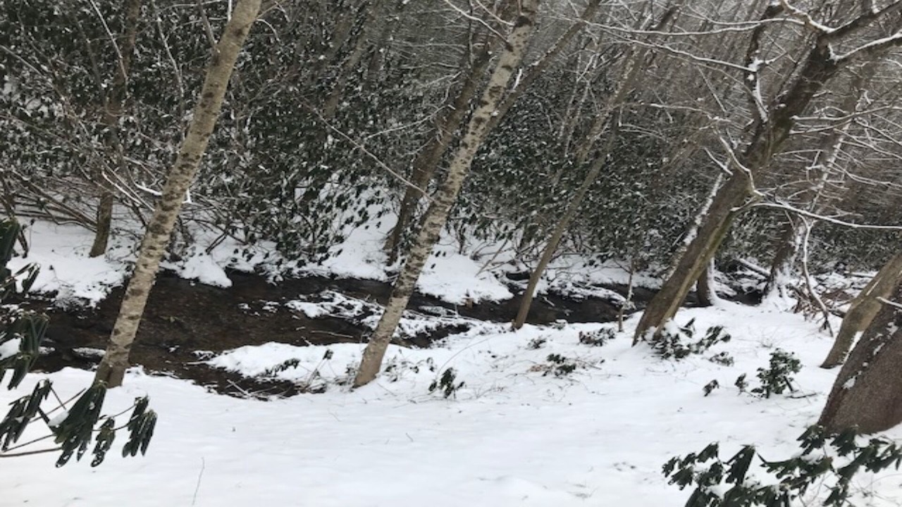 Photo of Outdoor in Highlands