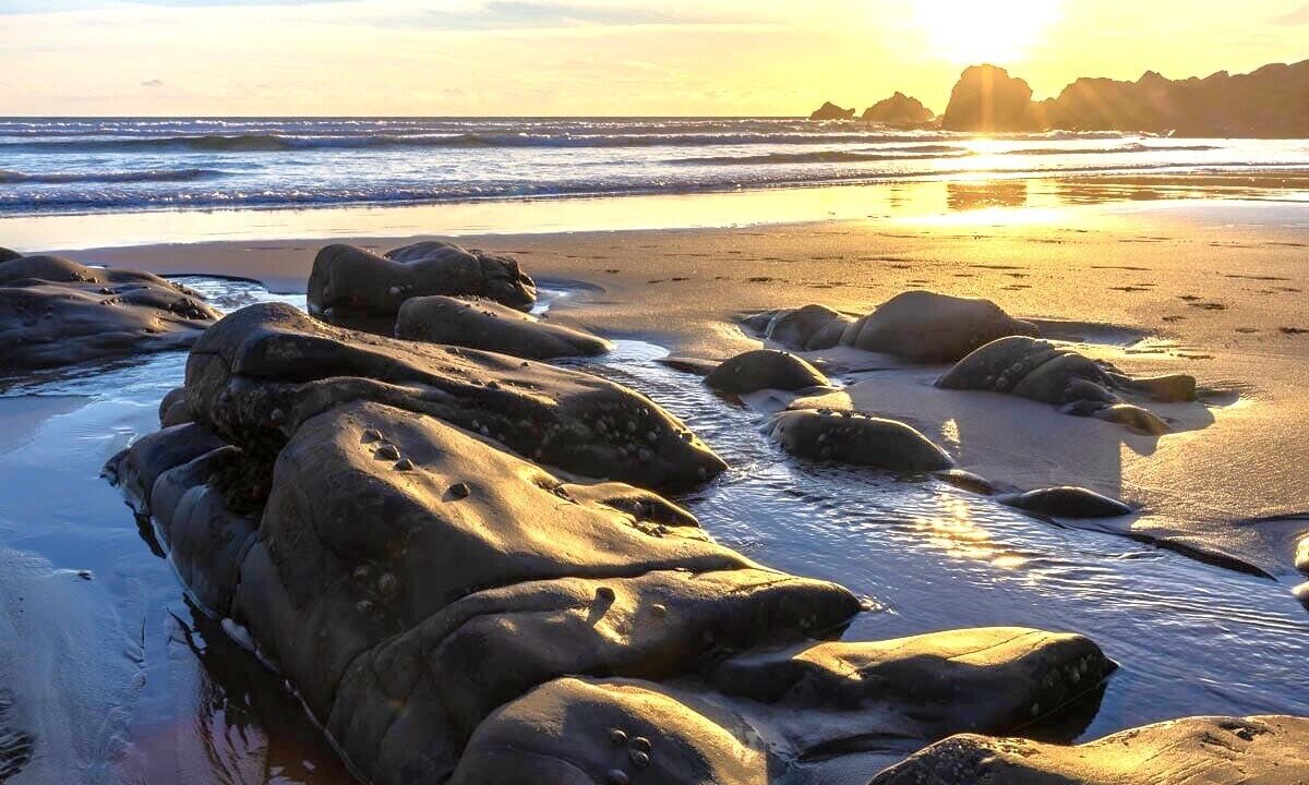 Photo of Others in Bude