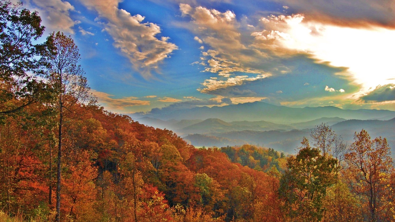 Photo of Others in Bakersville