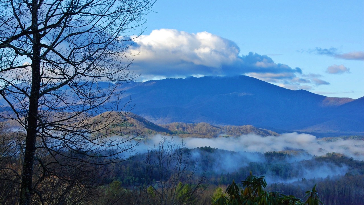 Photo of Outdoor in Bakersville