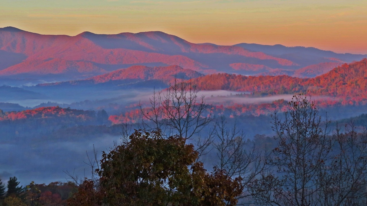 Photo of Others in Bakersville