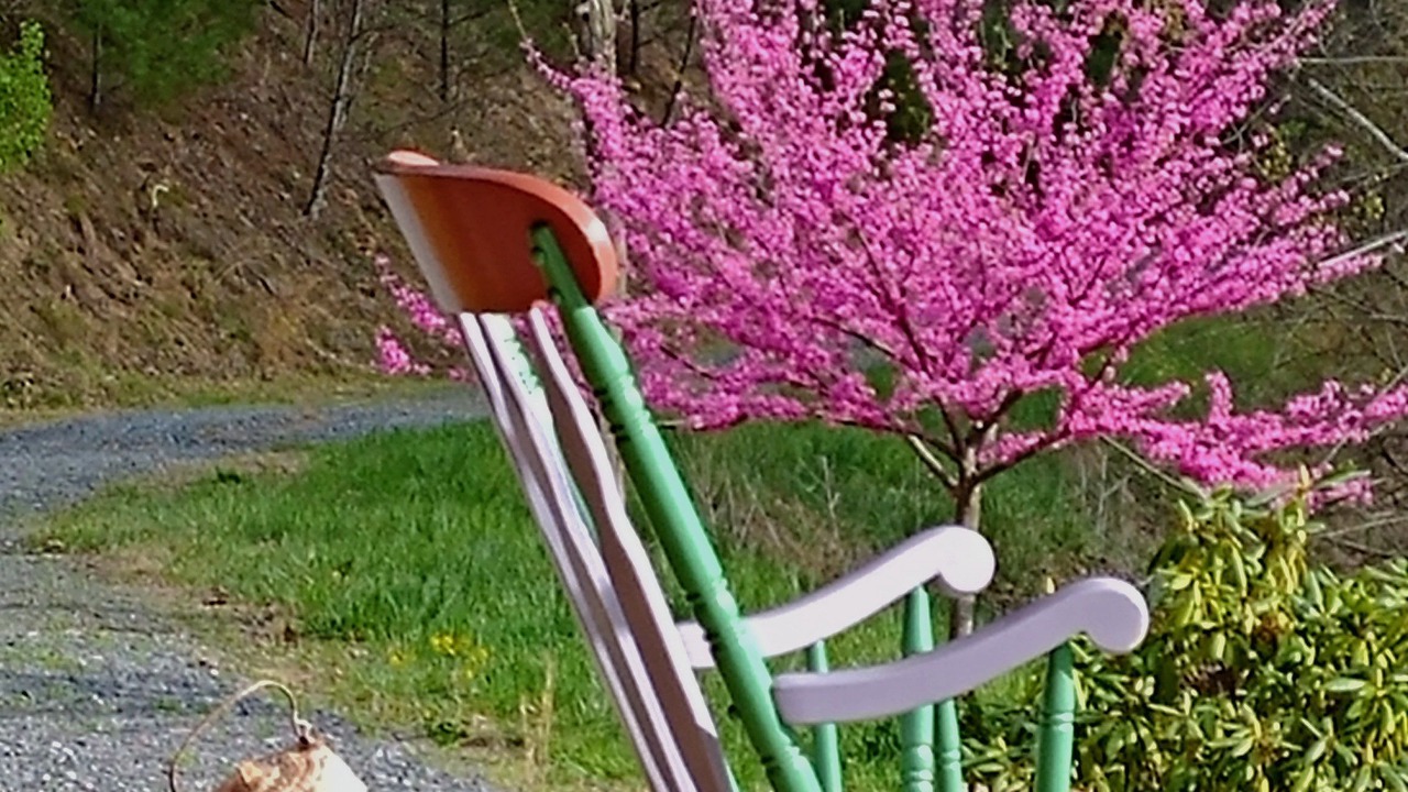 Photo of Outdoor in Bakersville