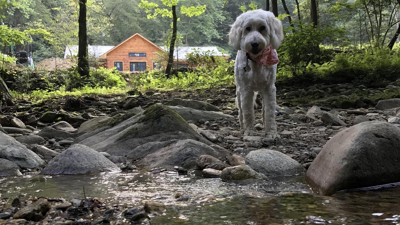 Photo of Outdoor in Deep Gap