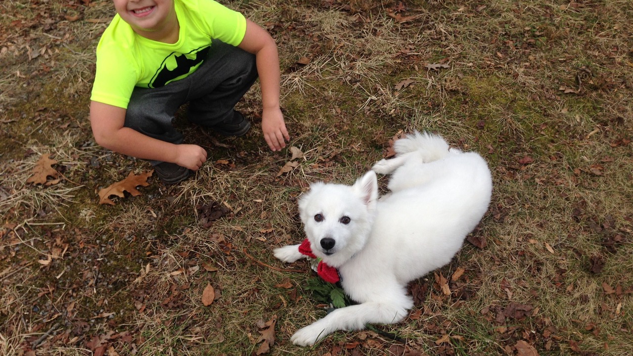 Photo of Others in Grassy Creek