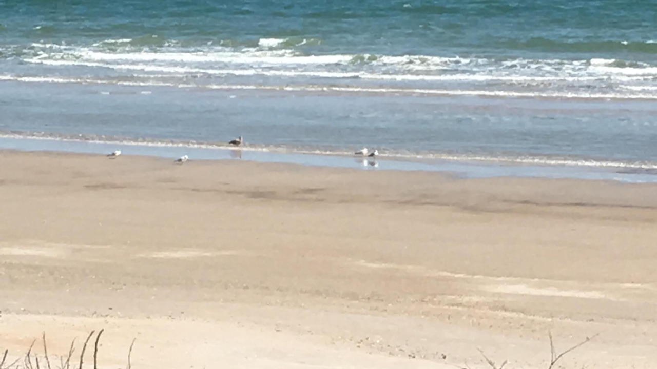 Photo of Others in North Topsail Beach
