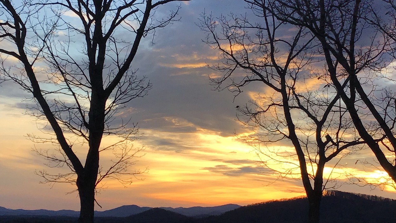 Photo of Outdoor in Fletcher