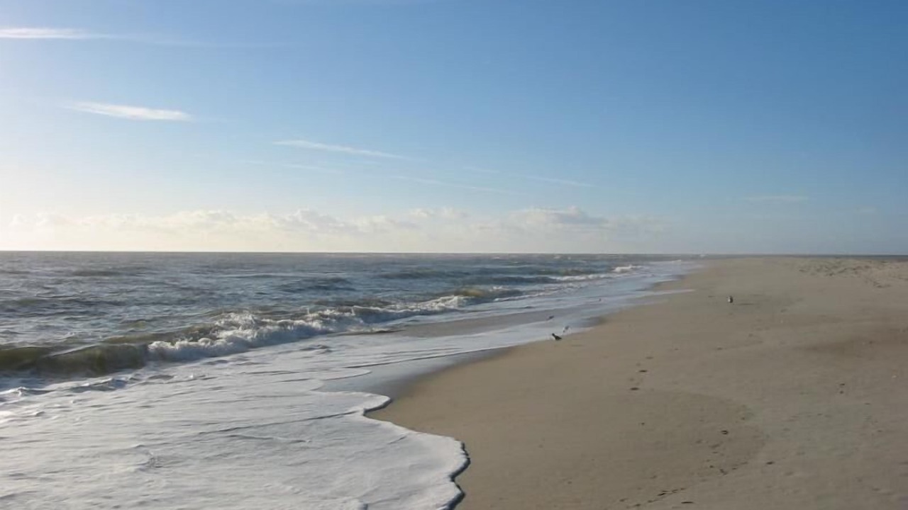 Photo of Others in Bald Head Island