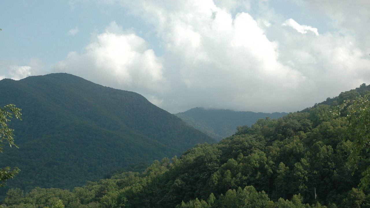 Photo of Others in Maggie Valley