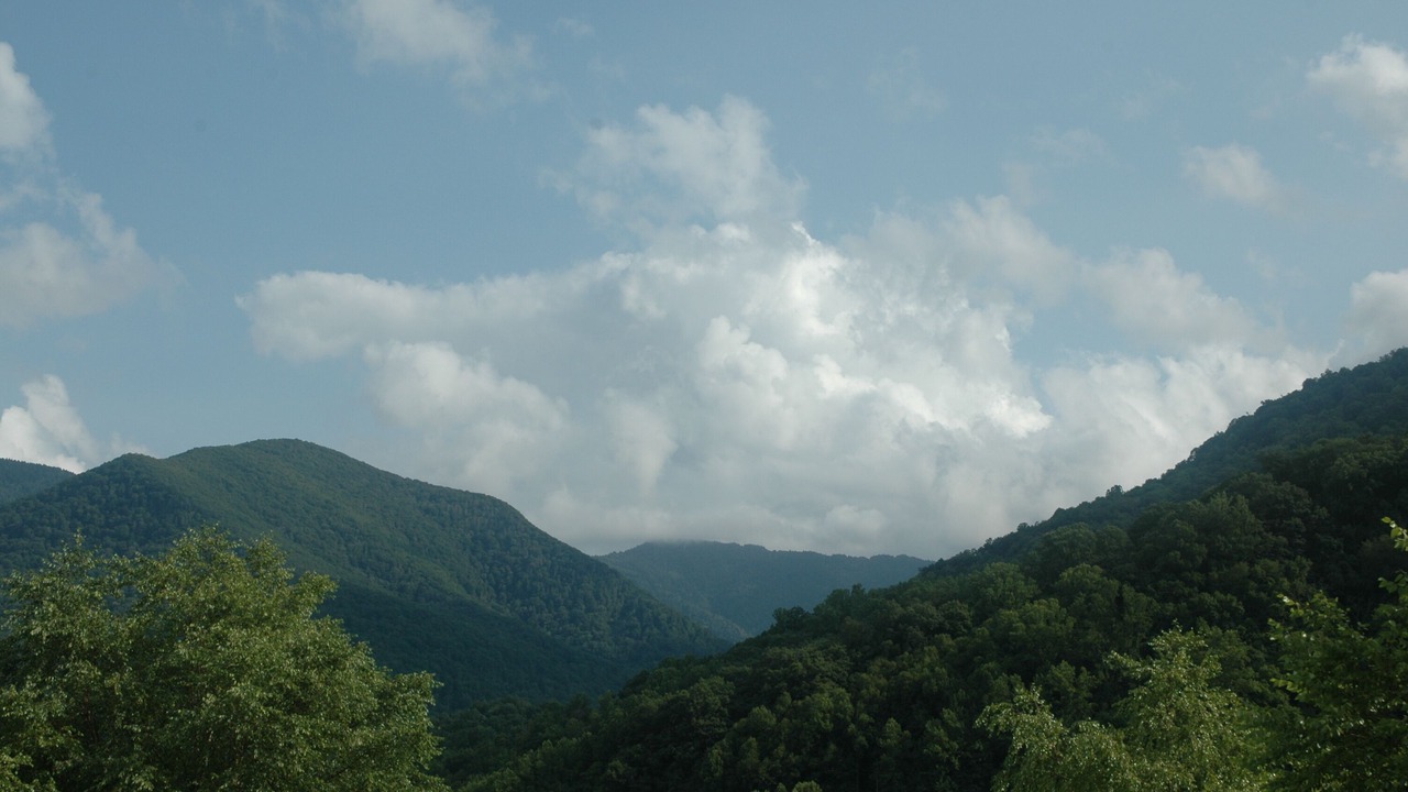 Photo of Others in Maggie Valley