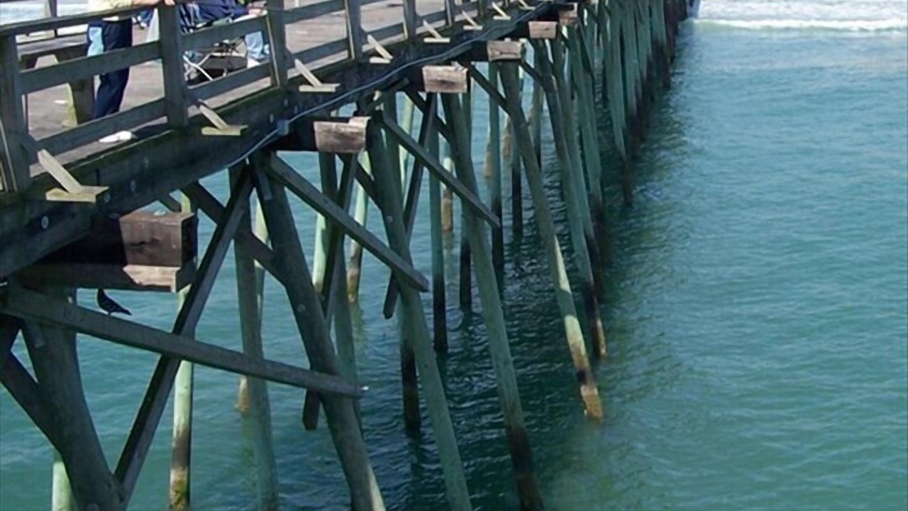 Photo of Others in Kure Beach