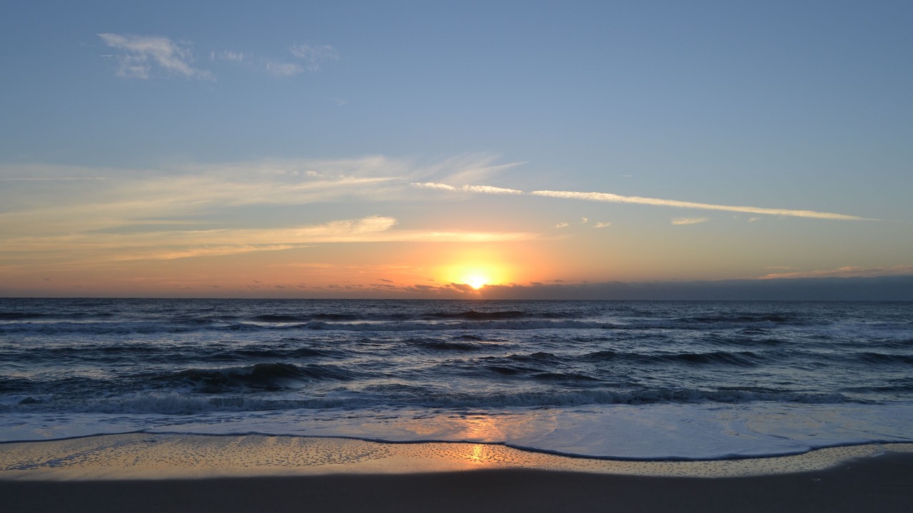Photo of Others in North Carolina Coast