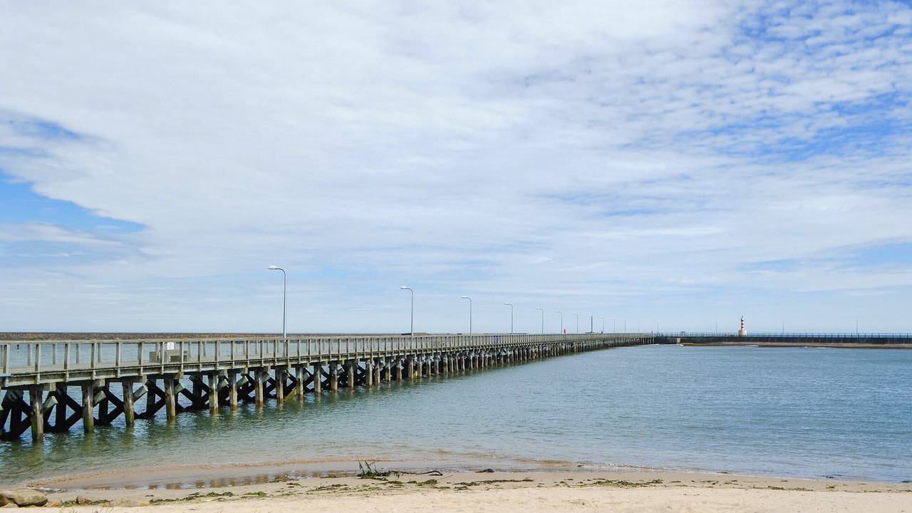 Photo of Others in Warkworth