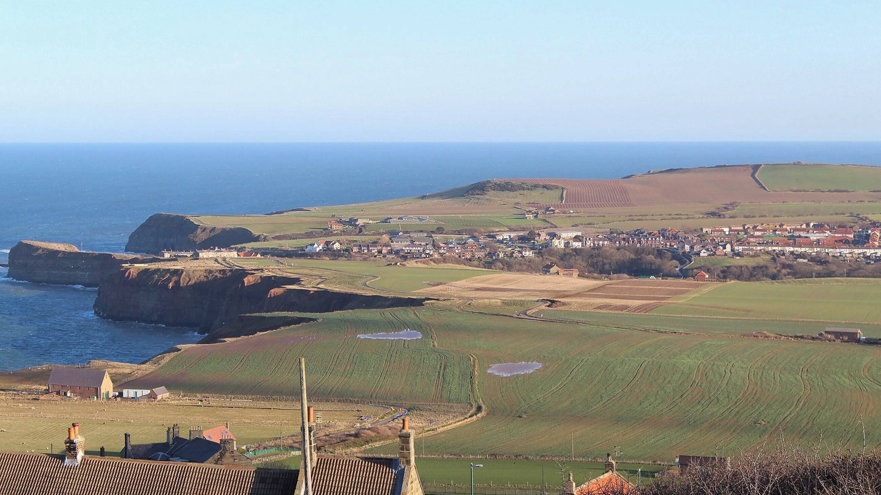 Photo of Others in Loftus