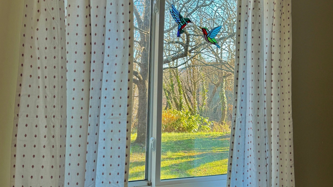 Photo of Others in Asheville