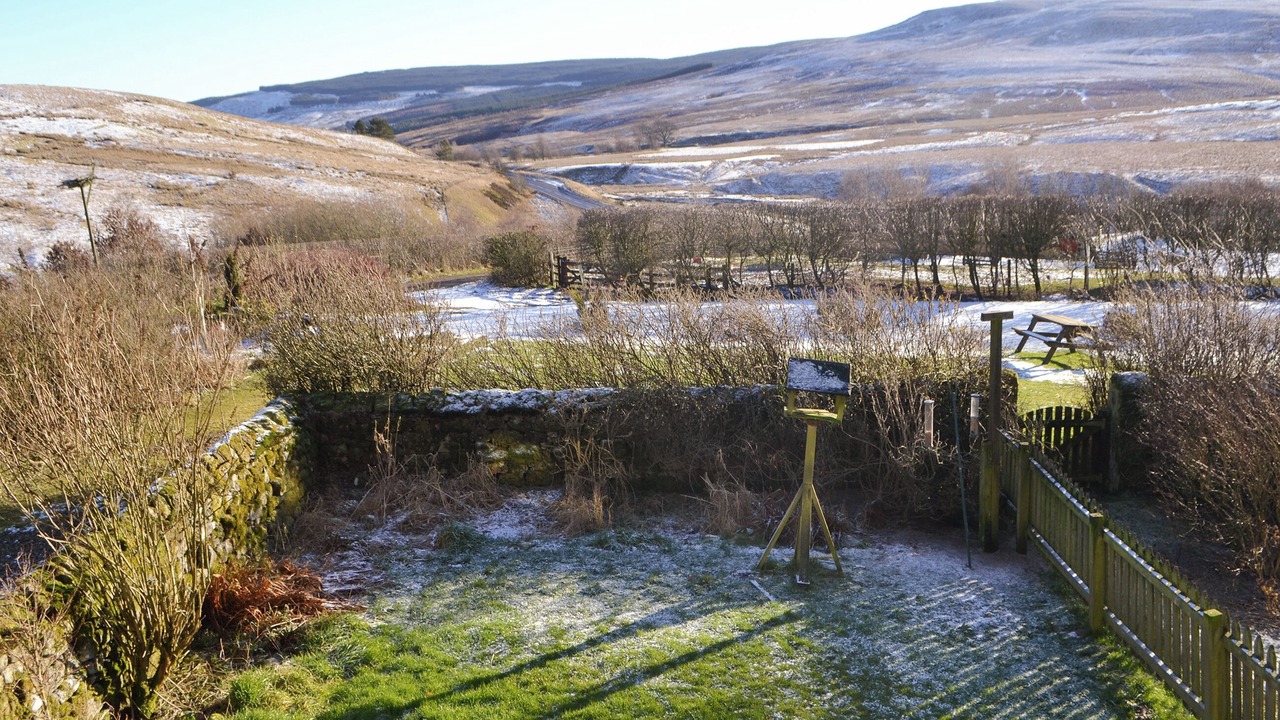 Photo of Others in Northumberland