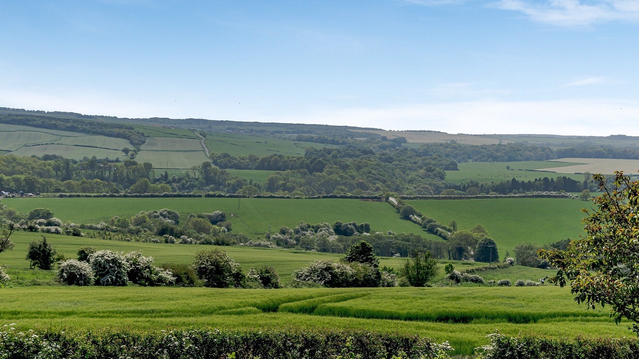 Photo of Others in Briggswath