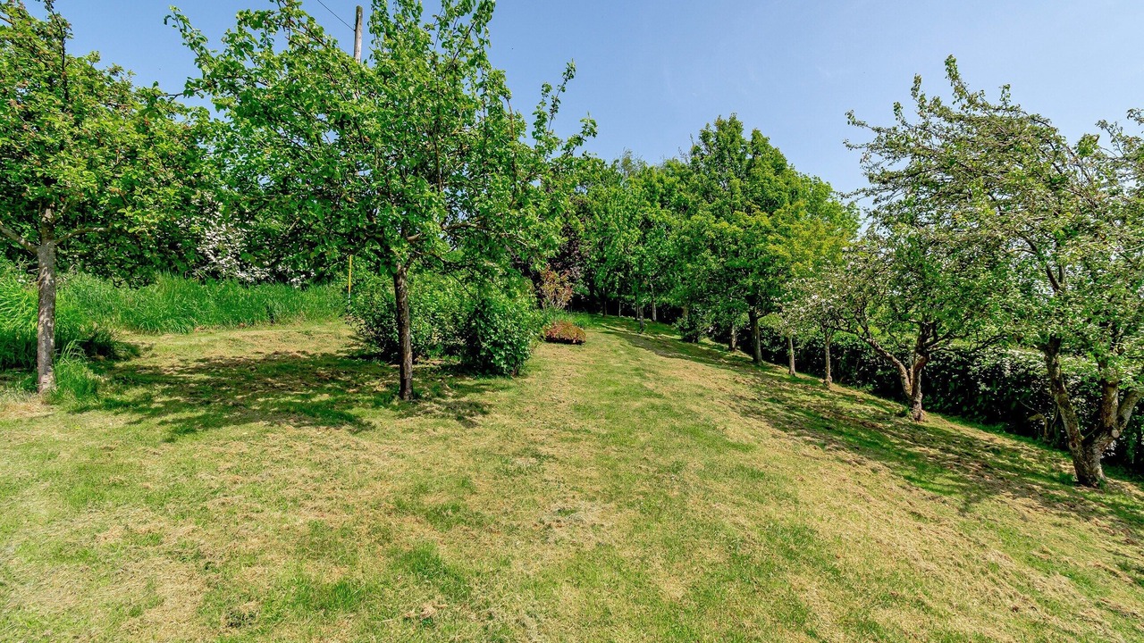 Photo of Outdoor in Briggswath