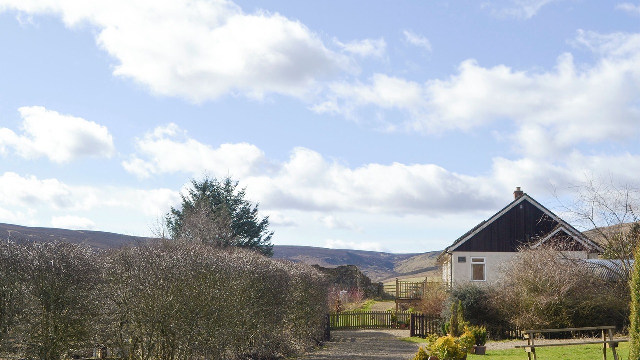 Photo of Others in Northumberland