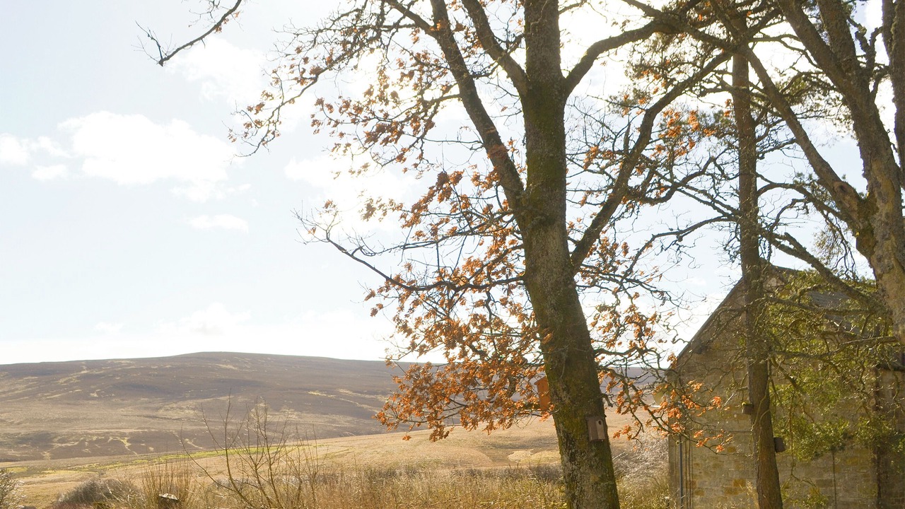 Photo of Others in Northumberland