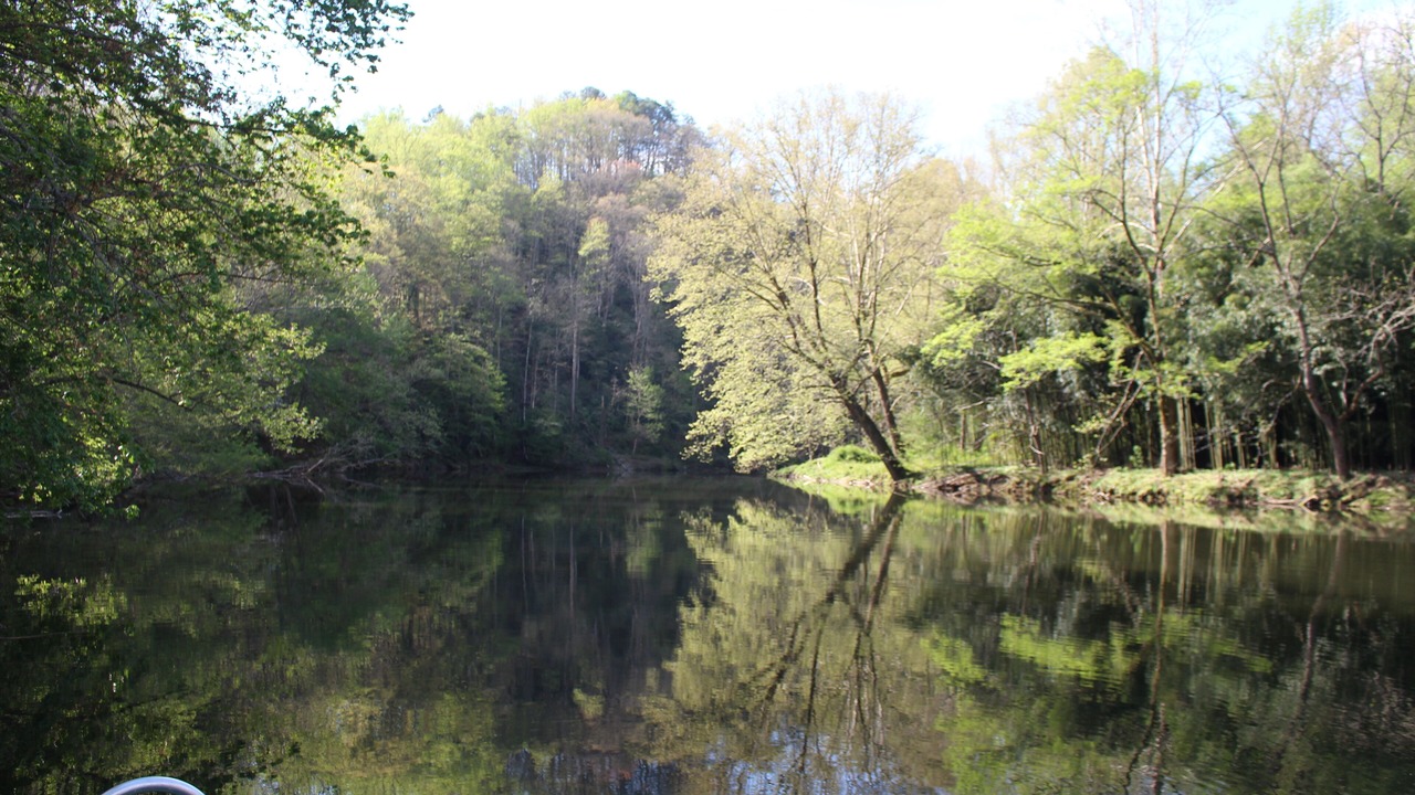 Photo of Others in Cherokee