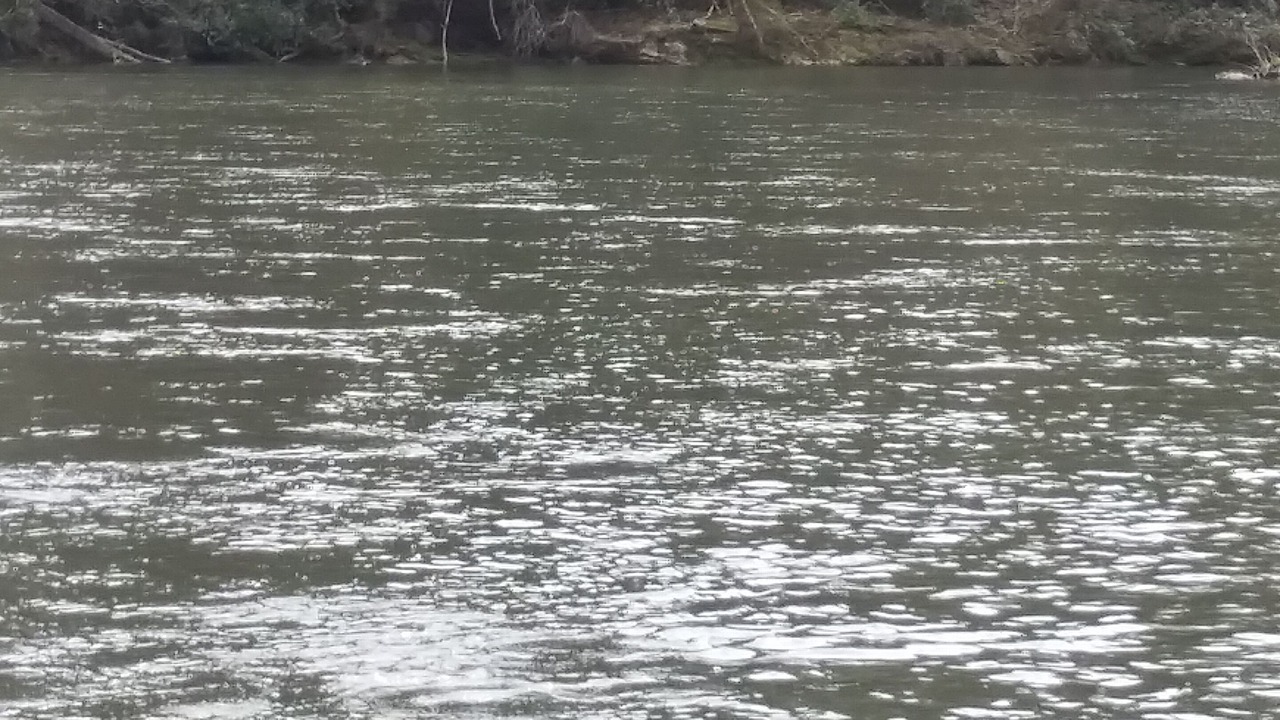 Photo of Others in Cherokee
