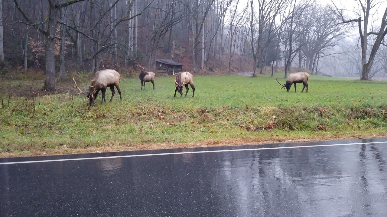 Photo of Others in Cherokee