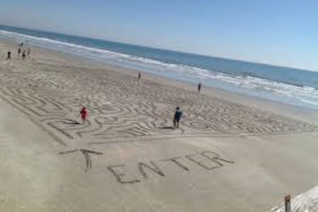 Photo of Others in Sea Trail