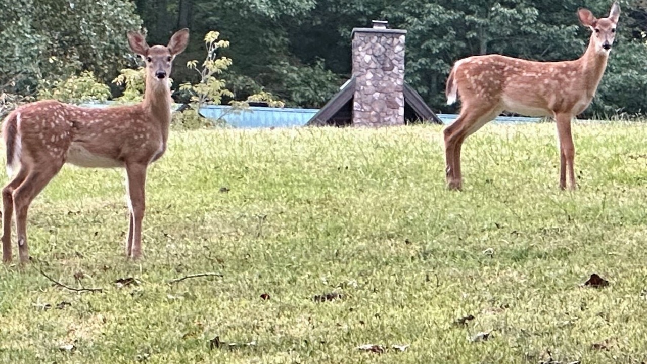 Photo of Outdoor in Franklin