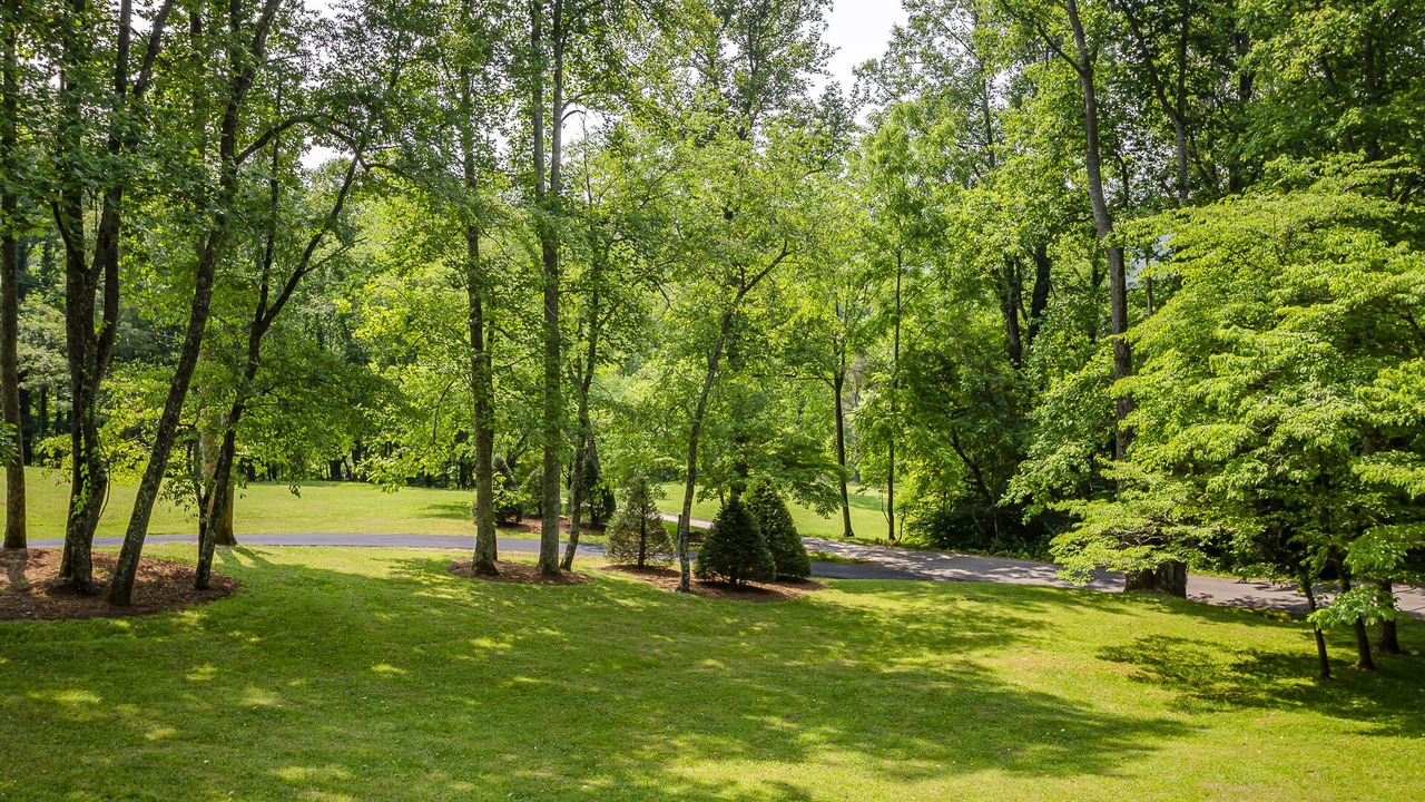 Photo of Outdoor in Franklin