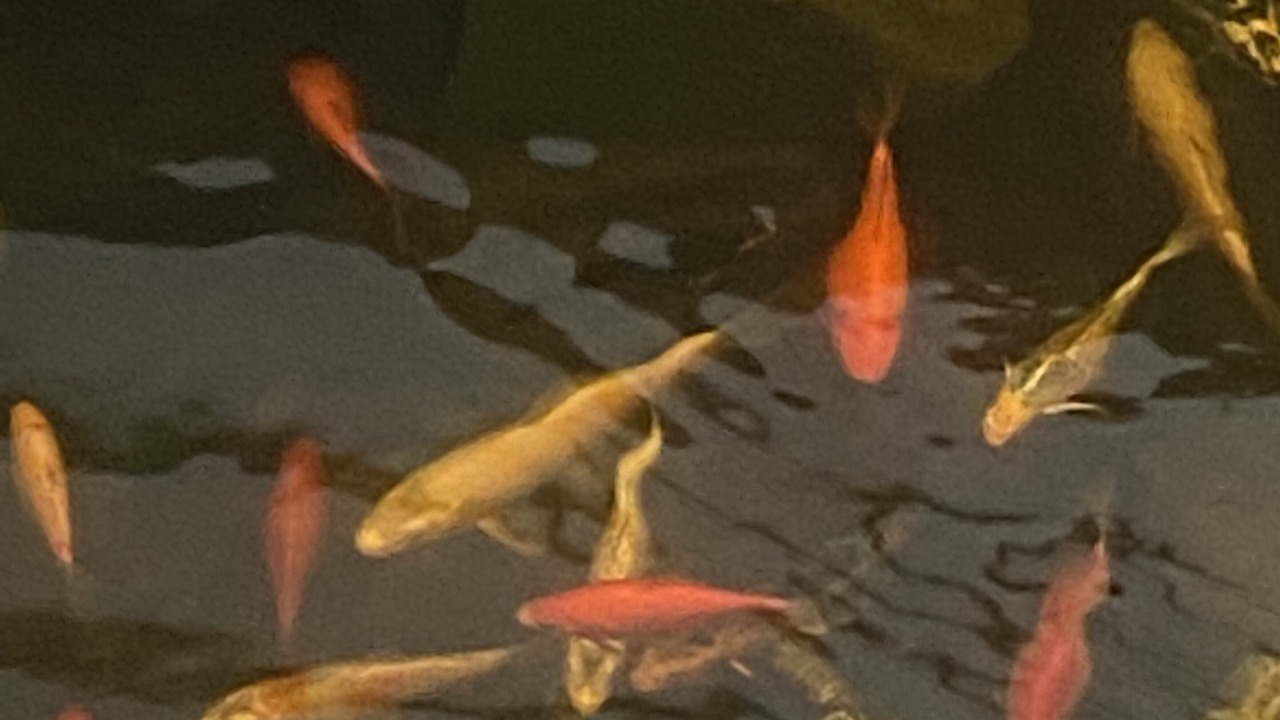 Photo of Others in Glenville