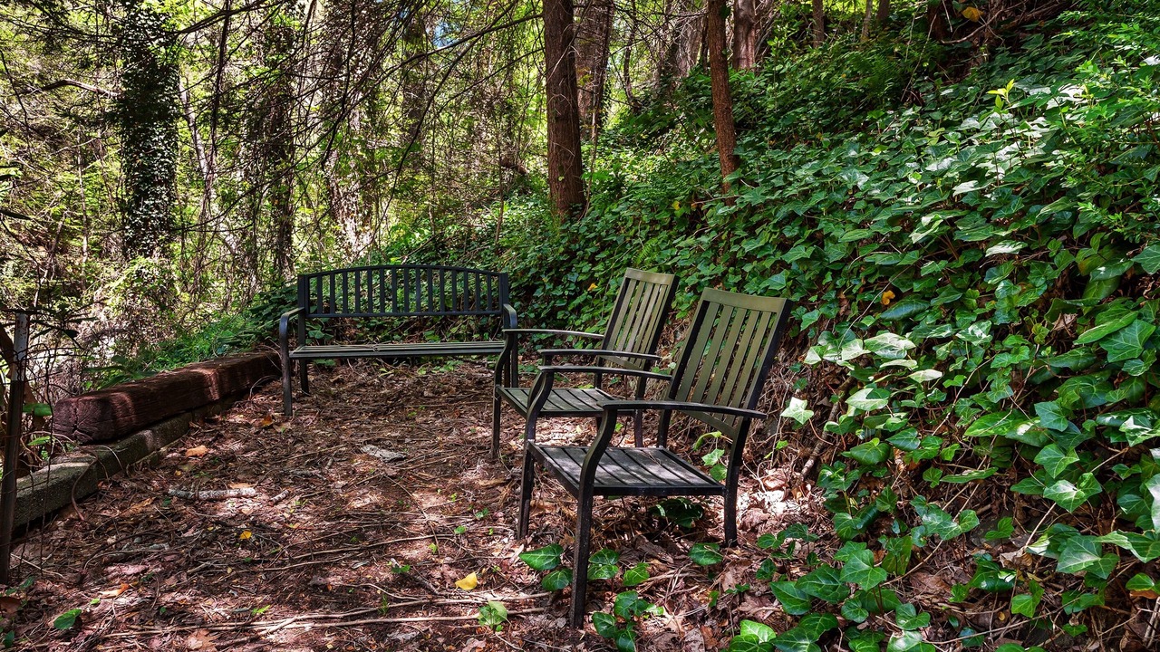 Photo of Outdoor in Bat Cave